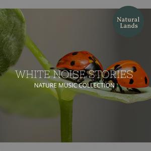 White Noise Stories - Nature Music Collection