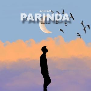 Parinda (feat. Artist AD)