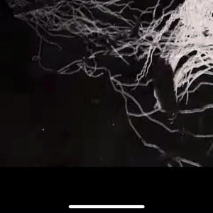 COLD (feat. Septfree) (Explicit)