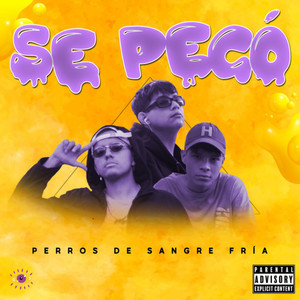 Se Pegó - Perros de Sangre Fría (Explicit)