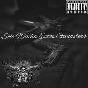 Solo Wacha Estos Gangsters (feat. Sniper & Night Owl) (Explicit)