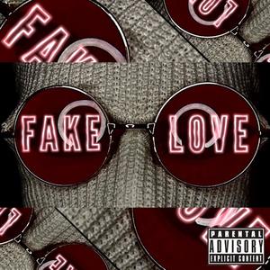 Fake Love (Explicit)