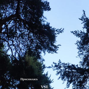 Приснилась