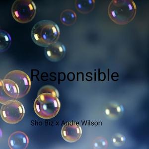 Responsible (feat. Andre Wilson) [Explicit]