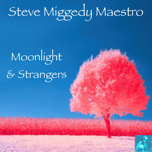 Moonlight & Strangers (TBT Slow Dizko Slap)