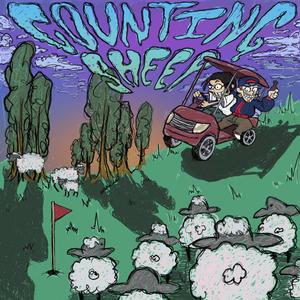 Counting Sheep