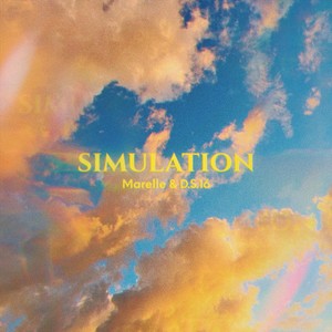 Simulation