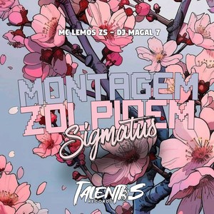 MONTAGEM ZOLPIDEM SIGMATUS (Explicit)