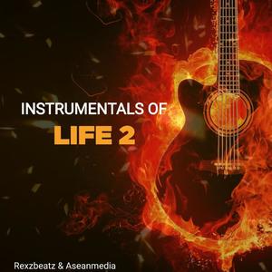 INSTRUMENTALS OF LIFE 2