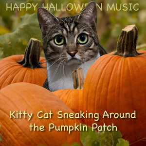 Kitty Cat Sneaking Around the Pumpkin Patch