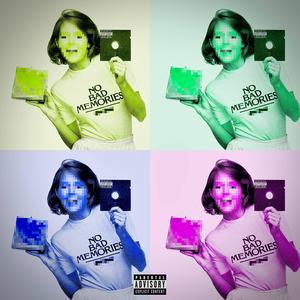 floppy disk (Explicit)