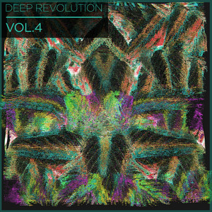 Deep Revolution, Vol. 4