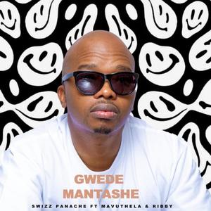Gwede Mantashe(feat. Mavuthela & Ribby)