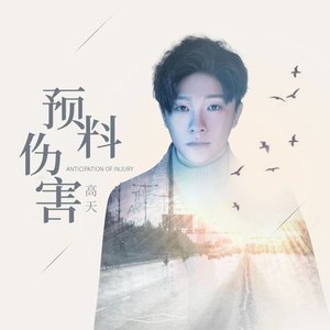 高天 - 预料伤害