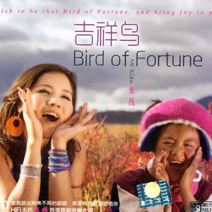 米线 - 让我听懂你的语言