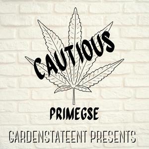 Cautious (Explicit)