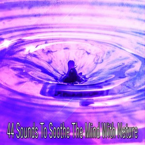 Downpour In The Garden