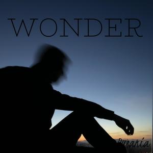 Wonder