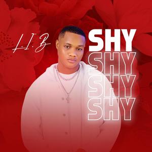 SHY (Explicit)