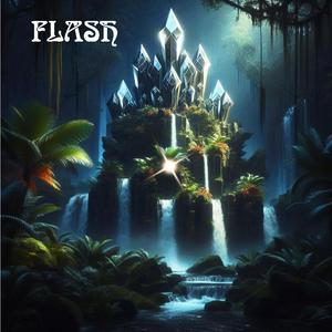 FLASH (feat. Tricheur)