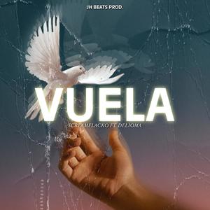 Vuela (feat. delioma)