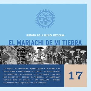 El Mariachi De Mi Tierra, Vol. 1