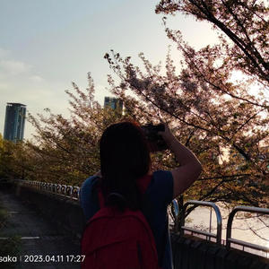 爱到这里封面
