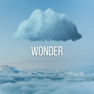 Wonder