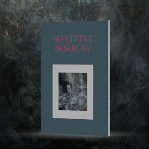 So Little Sorrow