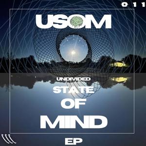 Undivided State Of Mind EP