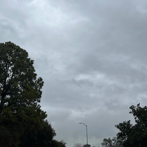 WHITE CADILLAC (Explicit)