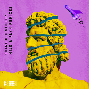 Shambolic Mind (FLVN Remix)