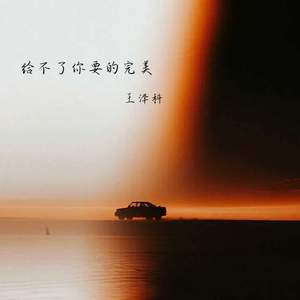 给不了你要的完美