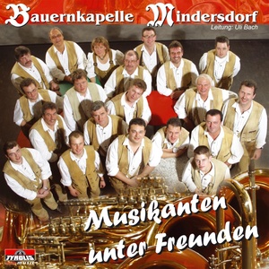 Musikanten unter Freunden