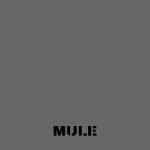 MUL3 (Explicit)