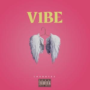 VIBE (feat. MC STAN, Harjas & Loka)