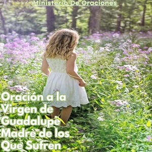 Oración a la Virgen de Guadalupe Madre de los Que Sufren
