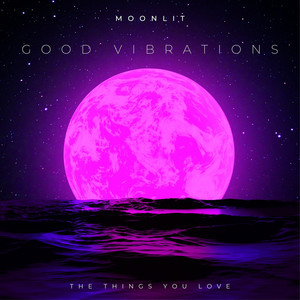 Good Vibrations (The Things You Love)