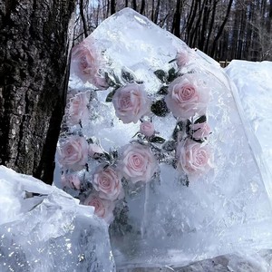 秋风吹尽大雪飞 我又想了你一回