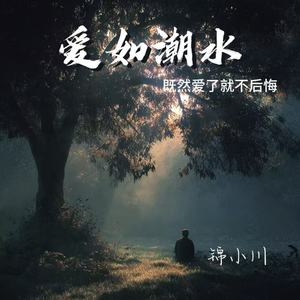 爱如潮水（既然爱了就不后悔）