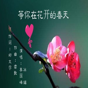 等你在花开的春天 - 冰媚封面