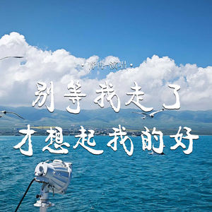 别等我走了才想起我的好