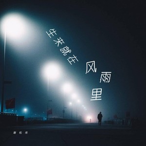 谢松亮 - 生来就在风雨里（我早已看不清我自己） (伴奏)