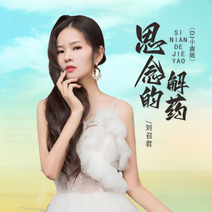 思念的解药 (DJ小鑫版)