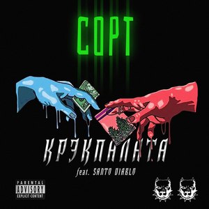 Сорт (Explicit)