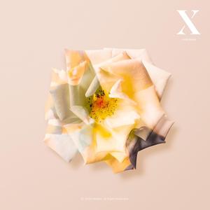 All The Things(feat. dylla)