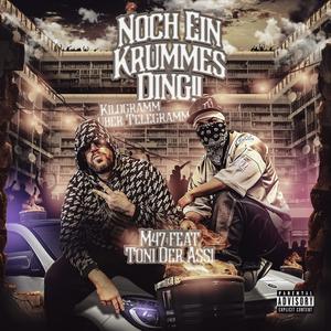 Noch Ein Krummes Ding!! (feat. Toni der Assi) (Explicit)