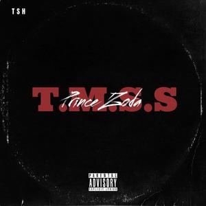 T.M.S.S (The Most Spectacula' Steppa') [Explicit]