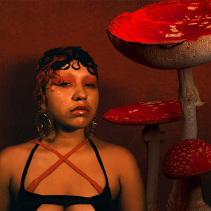 Delilah The Spider(No Beginnings)