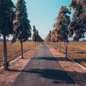 Our Memories (feat. Adam Panek & Paul Walden)